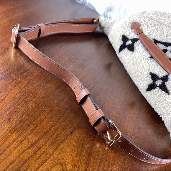 Louis Vuitton Teddy Mono Bumbag - Picture 4 of 14